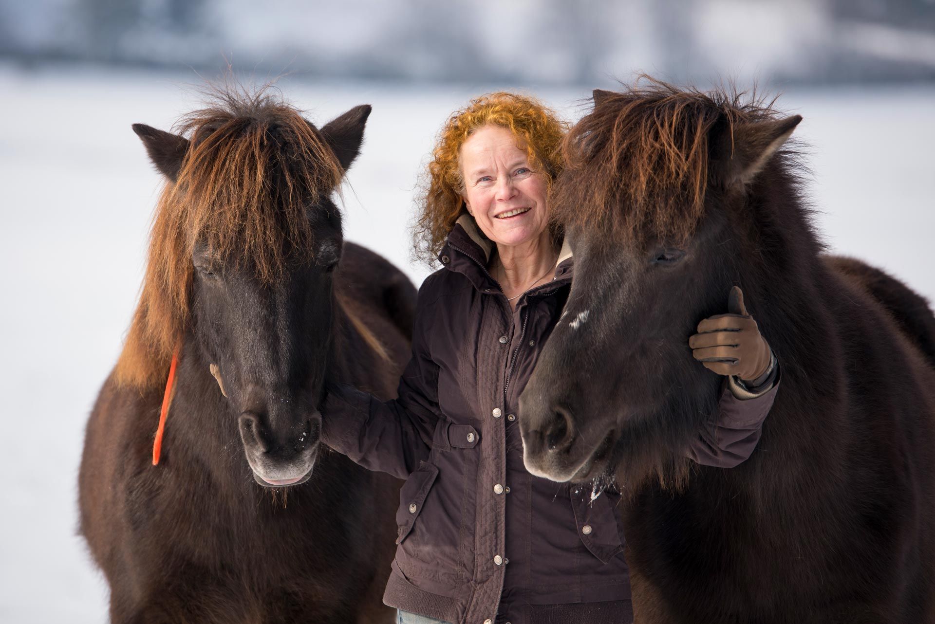 Birgit Femmer lächelnd zwischen zwei dunklen Islandpferden im Schnee